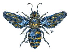 a drawing of a blue and yellow bug with ornate details on it's wings