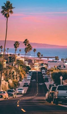 cars parked on the side of a road next to palm trees and ocean in the background