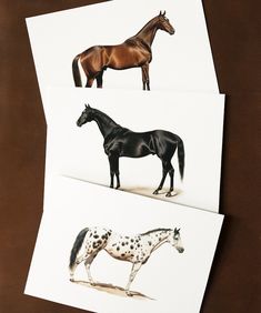 two cards with horses on them, one is black and the other has white spots