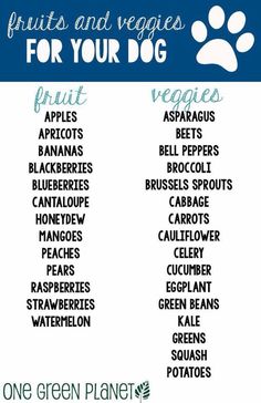 a poster with the words fruits and veggies for your dog