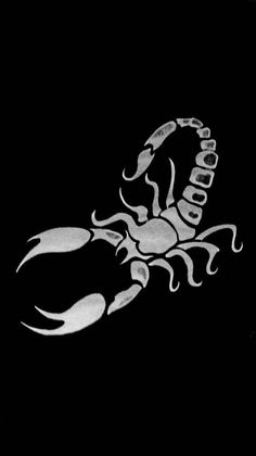 a black and white photo of a scorpion on a dark background with the word scorpion written across it