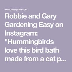 the words robbie and gary gardening easy on instagram hummingbirds love this bird bath made from a cat p