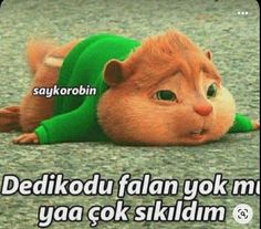 an image of a cat laying on the ground with caption in russian that reads, dedikodu falan yok mu ya yaya cok siki dim