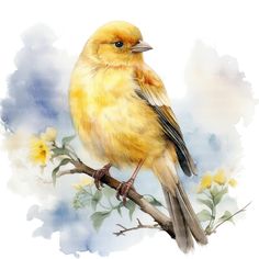 a watercolor painting of a yellow bird sitting on a branch with flowers in the background