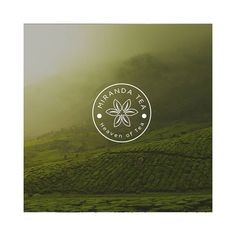 the logo for nirvana tea is shown in front of a green field with foggy mountains