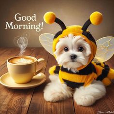 a small white dog wearing a bee costume next to a cup of coffee