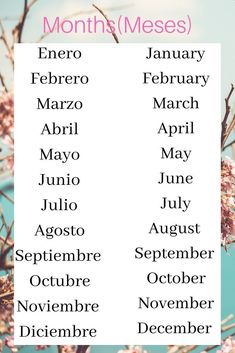 months of the year in spanish are shown with pink flowers and blue sky behind them