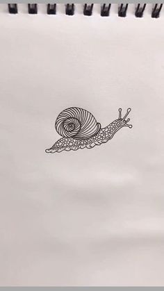 In This Video I Show You How To Draw A Snail Step By Step. Follow My Step By Step Drawing Tutorial And Make Your Own Snail Drawing Easy! Cute Snails Doodle, Snail Doodle Easy, How To Draw A Snail Step By Step, Snail Artwork Cute, Snail Painting Easy, Easy Snail Drawings, Snail Painting Acrylic