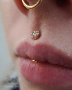 a close up of a person's nose with a gold nose ring on it