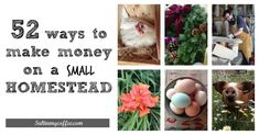 52 Ways to Make Money on a SMALL Homestead - Salt in my Coffee Homestead Business, Small Homestead, Homesteading Tips, Homestead Farm, Farm Business, Farm Projects, Homesteading Skills, Laser Ideas, Mini Farm