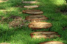 several pieces of wood sitting in the grass next to each other on either side of a path