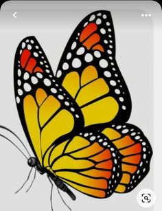 an orange and black butterfly with white dots on it's wings flying in the air