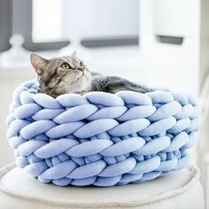 a cat is laying on top of a blue blanket in the shape of a basket