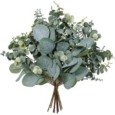 PRICES MAY VARY. 10 pcs mixed artificial eucalyptus leaves stems includes 5 pcs artificial silver dollar eucalyptus leaves stems in grey green and 5 pcs artificial baby eucalyptus leaves sprays in frosted green. Color: Artificial eucalyptus leaves include silver dollar eucalyptus leaves in grey green and baby blue eucalyptus leaves in dusty green. Faux eucalyptus in green adds texture to any classic or romantic floral design, perfectly complement any soft colored flowers. Size: Each Faux Silver Mixed Eucalyptus, Vase With Branches, Faux Branches, Dollar Eucalyptus, Wedding Greenery, Leaf Vase, Greenery Decor, Feuille Eucalyptus, Wreath Garland