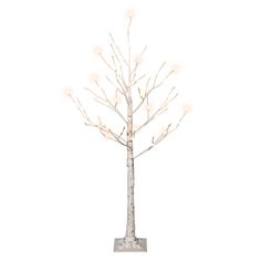 a lighted tree with white branches and lights on it's base, against a white background