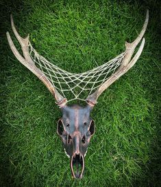 an animal's head is covered in wire on the grass