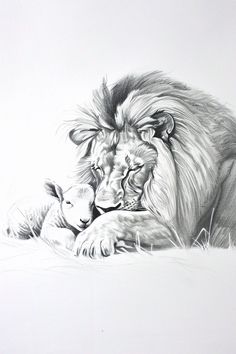 a drawing of a lion and its baby