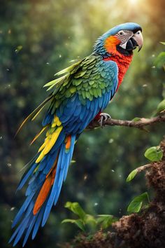 a colorful parrot perched on top of a tree branch