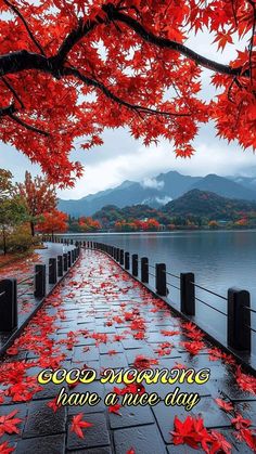 a long walkway with red leaves on it