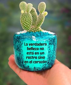 a hand holding a small potted plant with a quote written in spanish on it