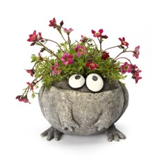 a potted plant with eyes and flowers in it