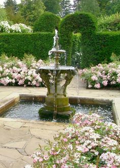 a fountain surrounded by pink flowers in a garden area with hedges and trees behind it