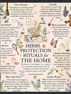 Protection Rituals, Witch Herbs, Green Witchcraft, Magic Herbs, Magical Herbs, Herbal Healing