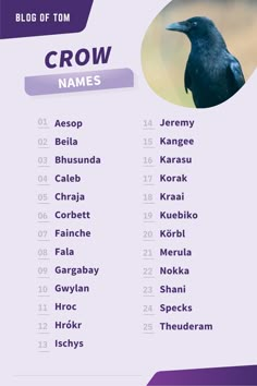 a purple and white poster with the words crow names