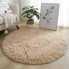 a living room with a white couch and a rug on the floor next to a potted plant