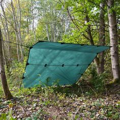 a green tarp in the woods with trees and leaves on the ground around it