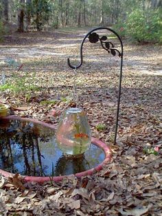 a fish pond in the middle of a leafy area with trees and leaves around it