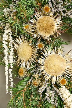 some white and yellow flowers are hanging from a christmas tree with snow on the branches