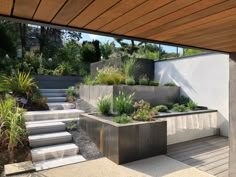 an outdoor garden with steps and plants