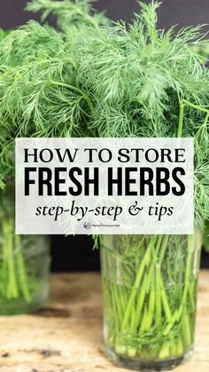 fresh herbs in glass jars with text overlay how to store fresh herbs step - by - step and tips