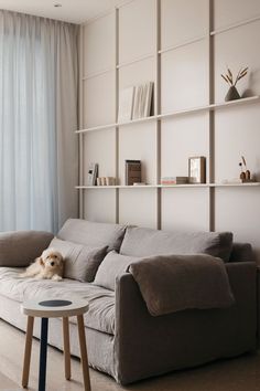 a dog sitting on the back of a couch in a living room