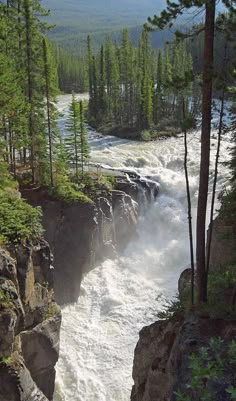 the water is rushing down the side of the mountain and through the trees to the shore