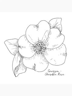 a black and white drawing of a flower