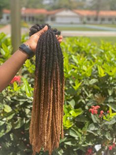 Medium Size Handmade 100% Human Hair Locs With Honey Blonde Tips. 100 Locs Per Bundle Starter Dreadlocks, 100 Locs, Human Hair Locs, Small Dreads, Curls Without Heat, Hair Locs, Crochet Dreadlocks, Blonde Tips, Dread Extensions