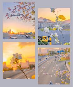 four different shots of flowers and cars on the road at sunset or sunrise, with buildings in the background