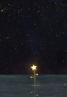 a lone star floating in the water at night with stars above it and on the ground