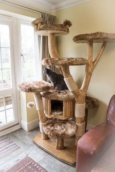 a cat sitting on top of a tree house in a living room next to a window