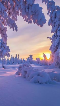 the sun is setting behind some trees in the snow covered field with lots of snow on it