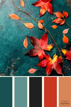 the color palette is teal, orange and red with some yellow leaves on it