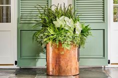 a potted plant sitting in front of a green door