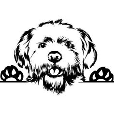 a black and white drawing of a dog behind a sign with paw prints on it