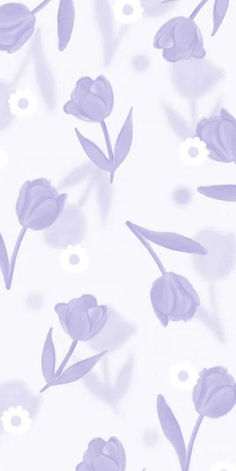 cute Easter wallpaper: tulips Perpul Wallpaper Backgrounds, Cute Lavender Background, Purple Aesthetic Tulips, Perpul Background, Purple Tulips Aesthetic Wallpaper, Wallpaper Perpul, Perpul Wallpaper, Lavender Lockscreen, White And Purple Wallpaper