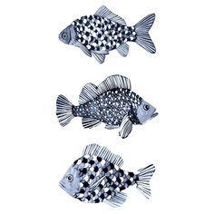 three fish are shown in black and white, one is painted with acrylic paint