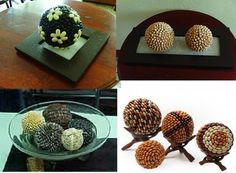 there are four different types of pine cones