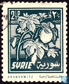 an old postage stamp with fruit on the front and arabic writing in black, white and blue