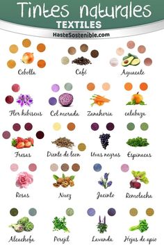 an image of different types of herbs and their names in spanish, with the words